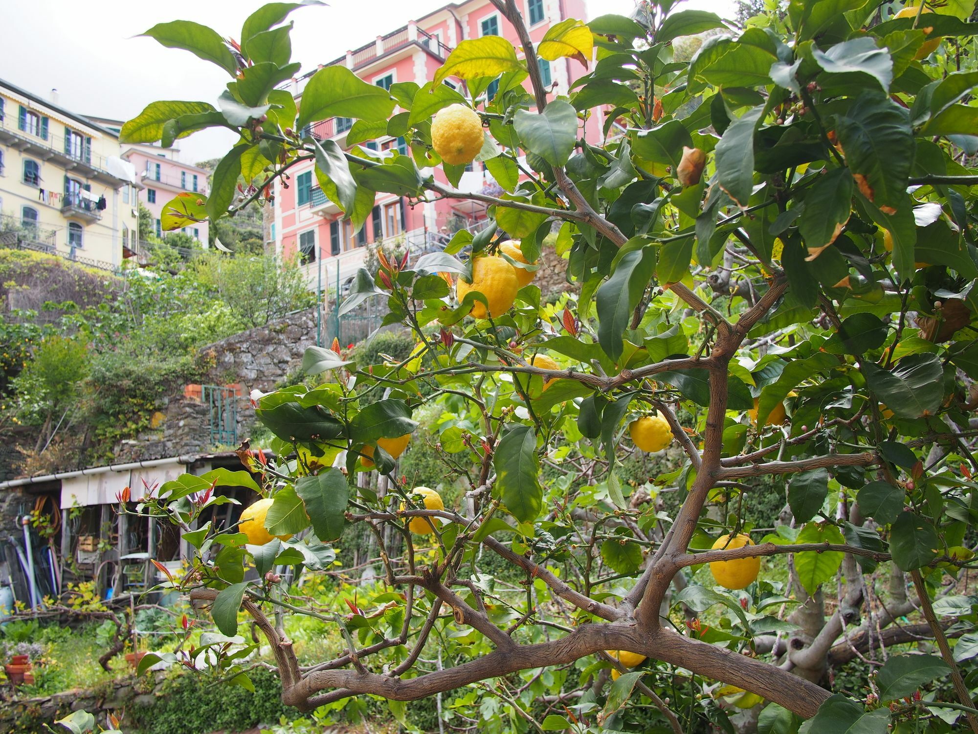 Ciao Bella Rainbow Hotel Riomaggiore Bagian luar foto